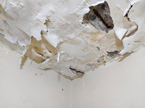 The damp concrete ceiling is cracking and the paint is partly peeling.