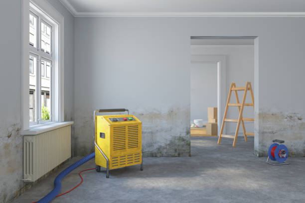 istockphoto-2043692476-612x612