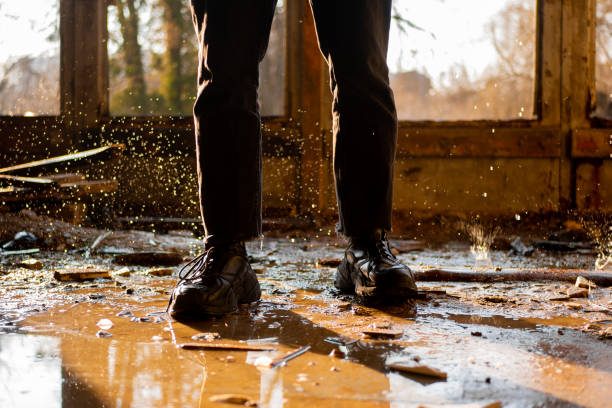 istockphoto-2148721464-612x612