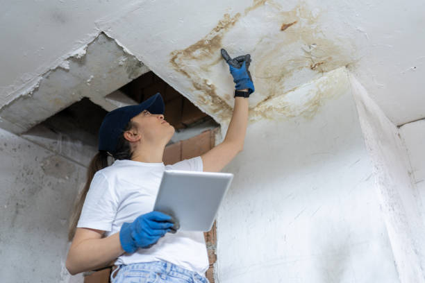 Insurance Adjuster Inspecting Damages On Construction Site